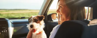 SegurCaixa Mascotas Básico - Seguro perros y gatos desde 9€